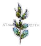 F-349-HK Milkweed
